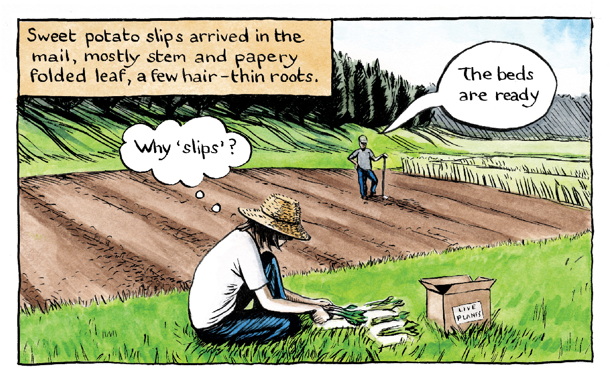 Rooting the Slip Excerpt