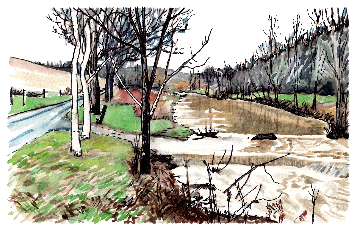 Drawing from Landings of a creek with trees on either side