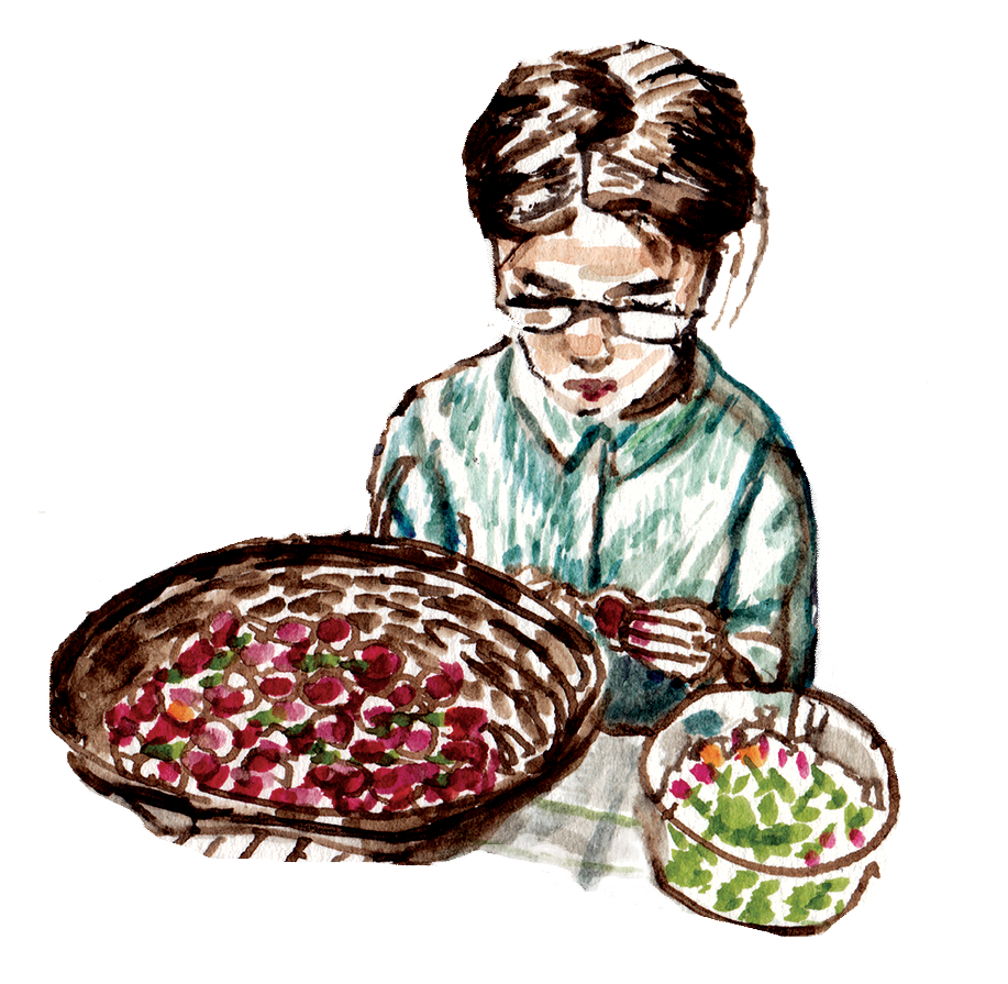 Illustration of woman holding a bowl of strawberries