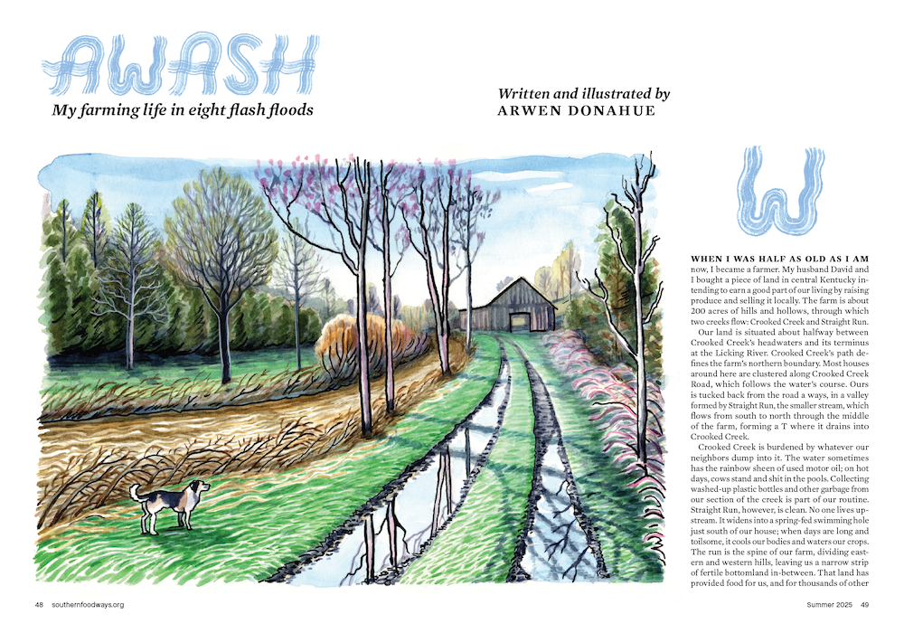Awash cover page
